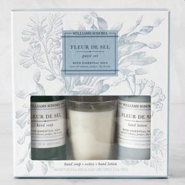 Williams Sonoma Fleur De Sel Guest Set