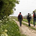 Boucle Tabanac / Le Tourne Walking Loop