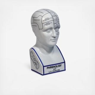 Phrenology Head