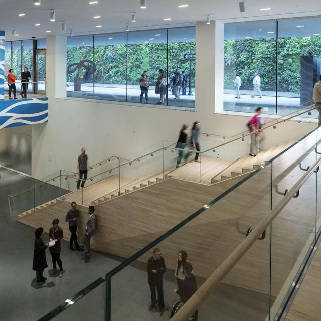 SF MOMA Year Membership