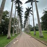 Aburi Botanical Gardens
