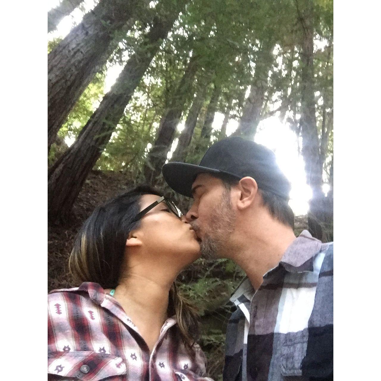 Travels to Redwoods