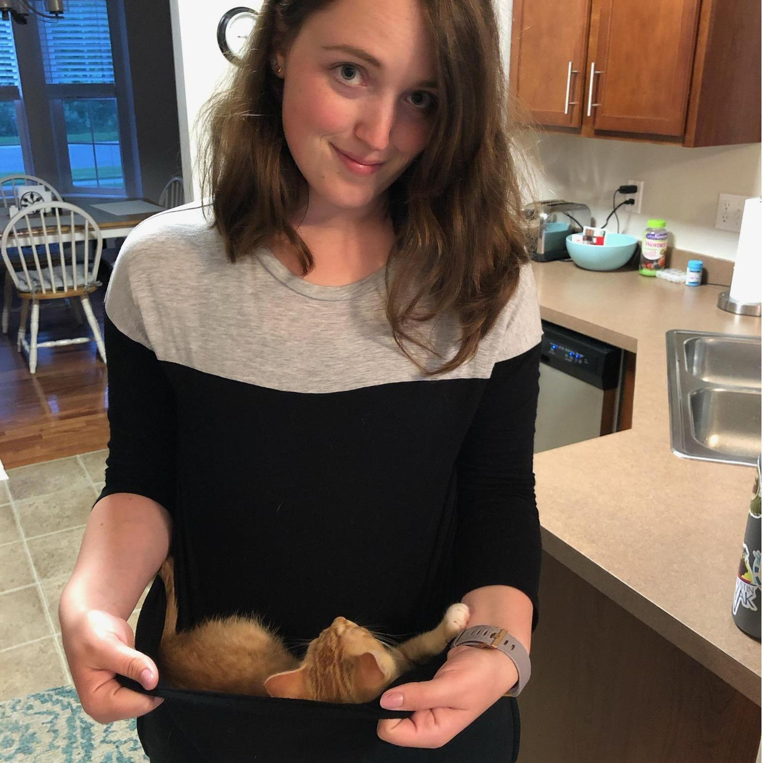 Emily the kitten wrangler 5/2019