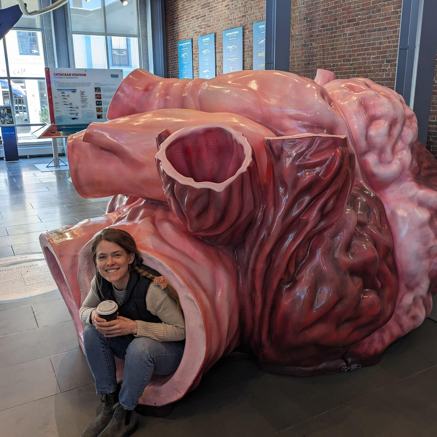 Sick Whaling Museum in New Bedford, Mass.