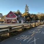 Pleasant Lake Pizza Shark