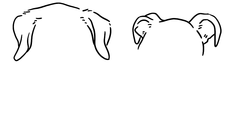 Footer image