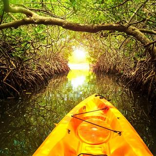 Wetlands Kayaking for 2 - Trinidad & Tobago