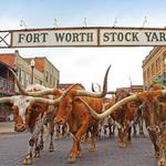 Fort Worth Stockyards
