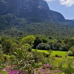 Kirstenbosch National Botanical Garden