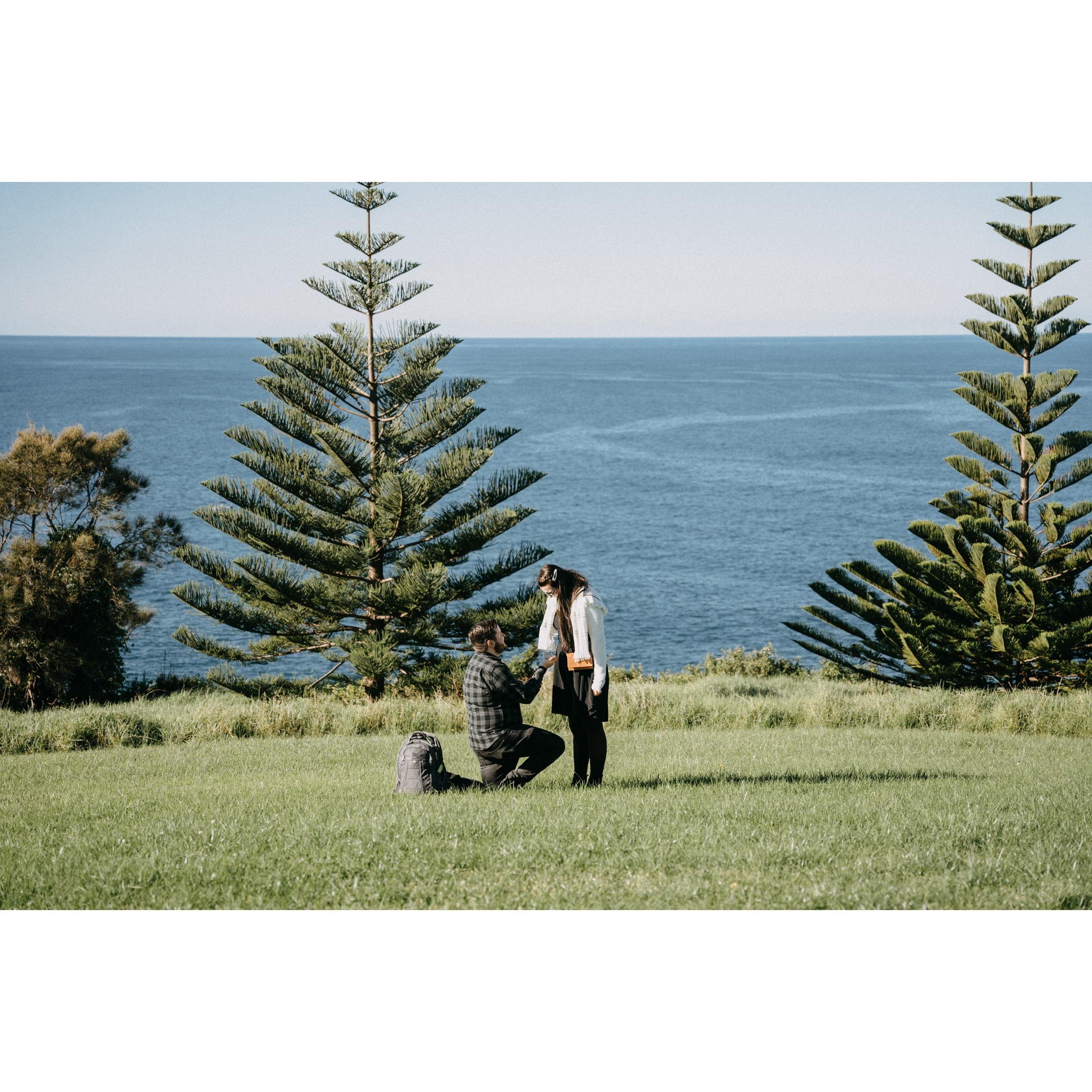 The proposal