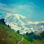 Mount Rainier National Park