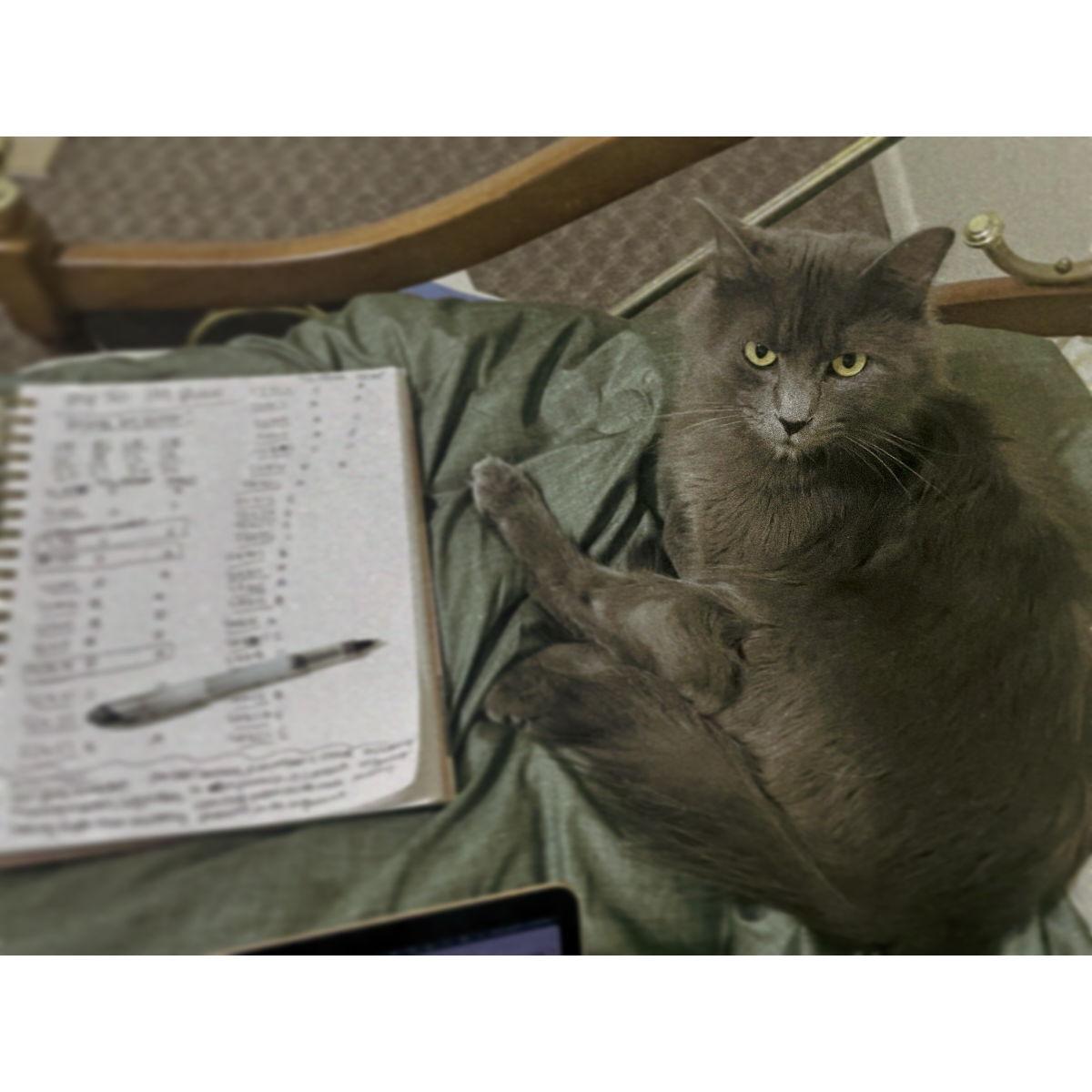 He's a very persistent study partner
