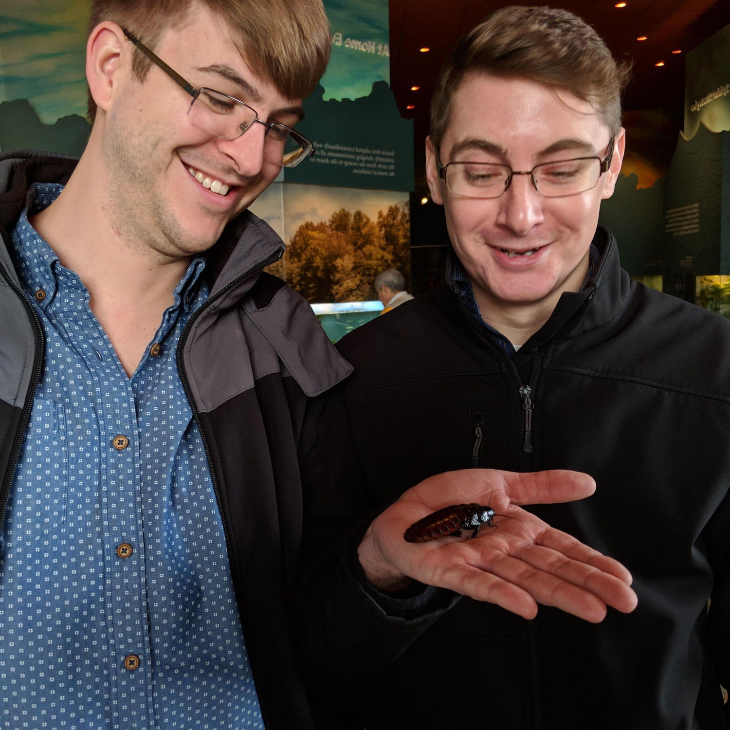 DC Feb 2018