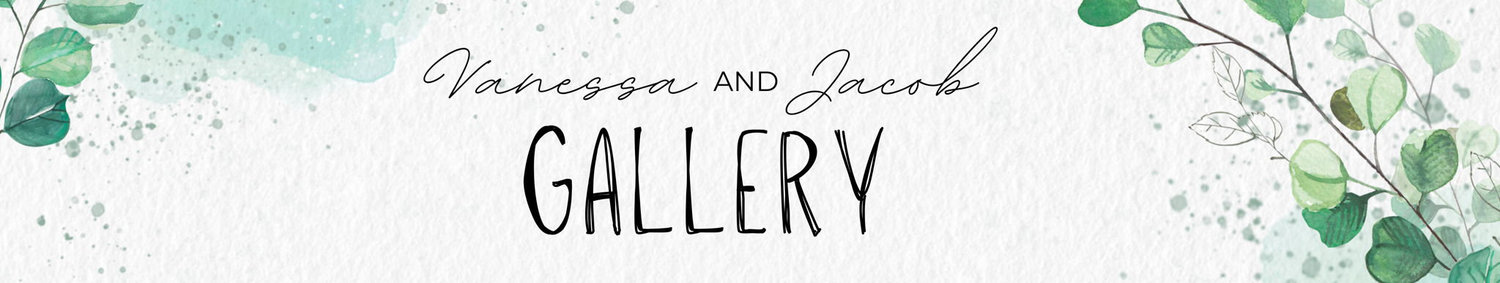 The Wedding Website of Vanessa Bojaj and Jacob Szlaga
