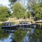 Frankenmuth FunShips