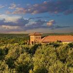 Texas Hill Country Olive Co.