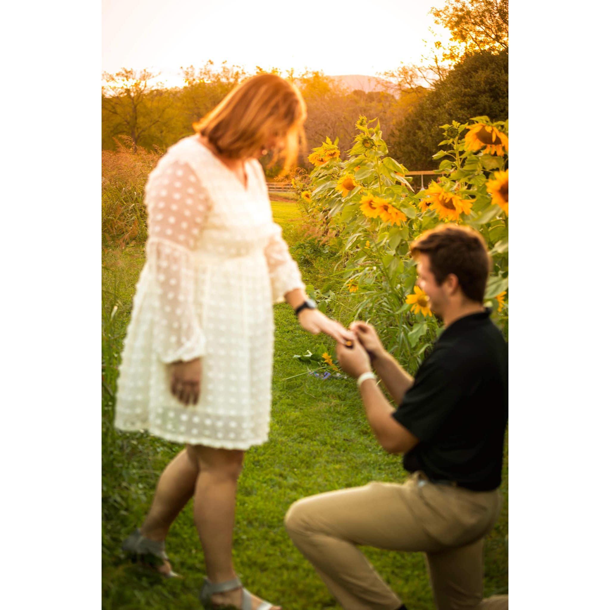 We got engaged September 22, 2022!