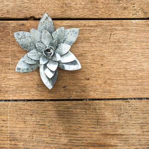 Magnetic Water Lily