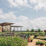 Spring Creek Gardens
