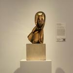 The Museum of Fine Arts, Houston
