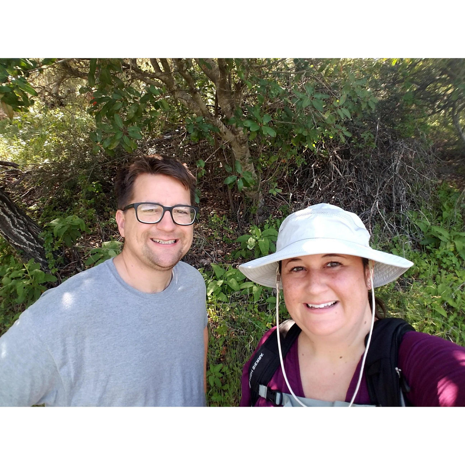 Sequoia hike
