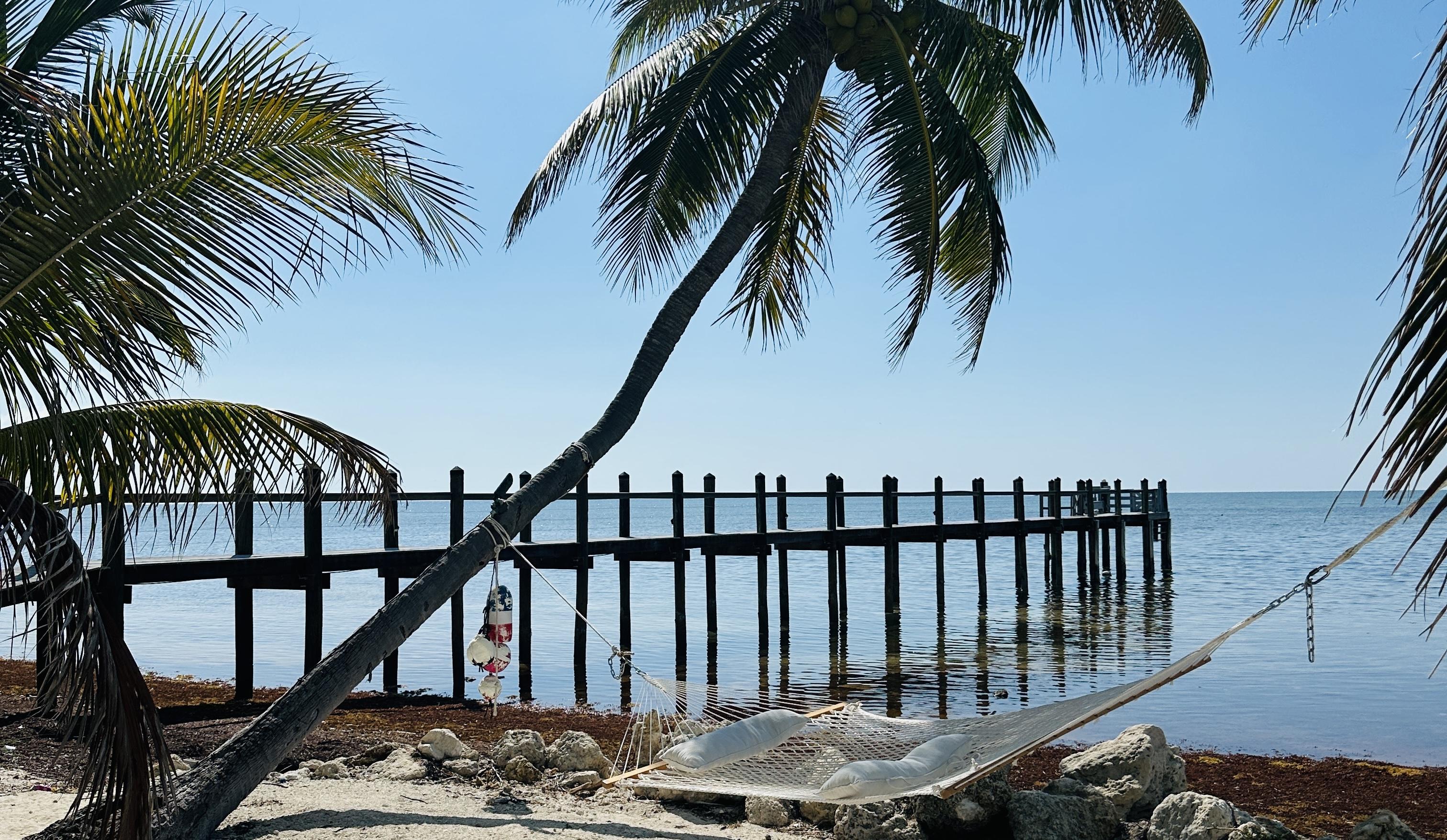 The Wedding Website of Courtney Macdonald and Dylan Burkhart