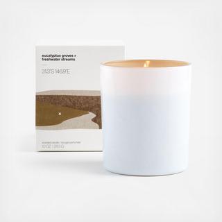 Eucalyptus Groves and Freshwater Streams Scented Candle