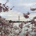 Washington, DC