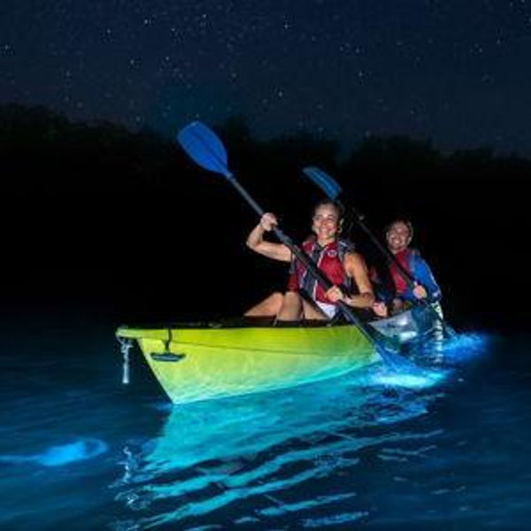 Kayak in Bioluminescent Bay