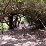 El Dorado Nature Center
