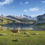 Parque Nacional de Los Picos de Europa
