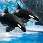 SeaWorld San Diego