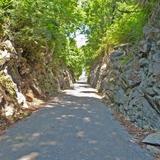 Tweetsie Trail