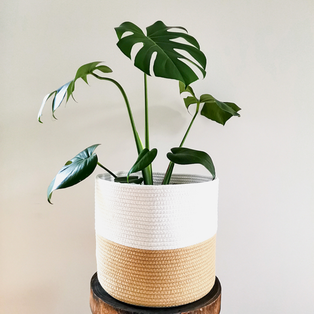 Jute & White Cotton Basket