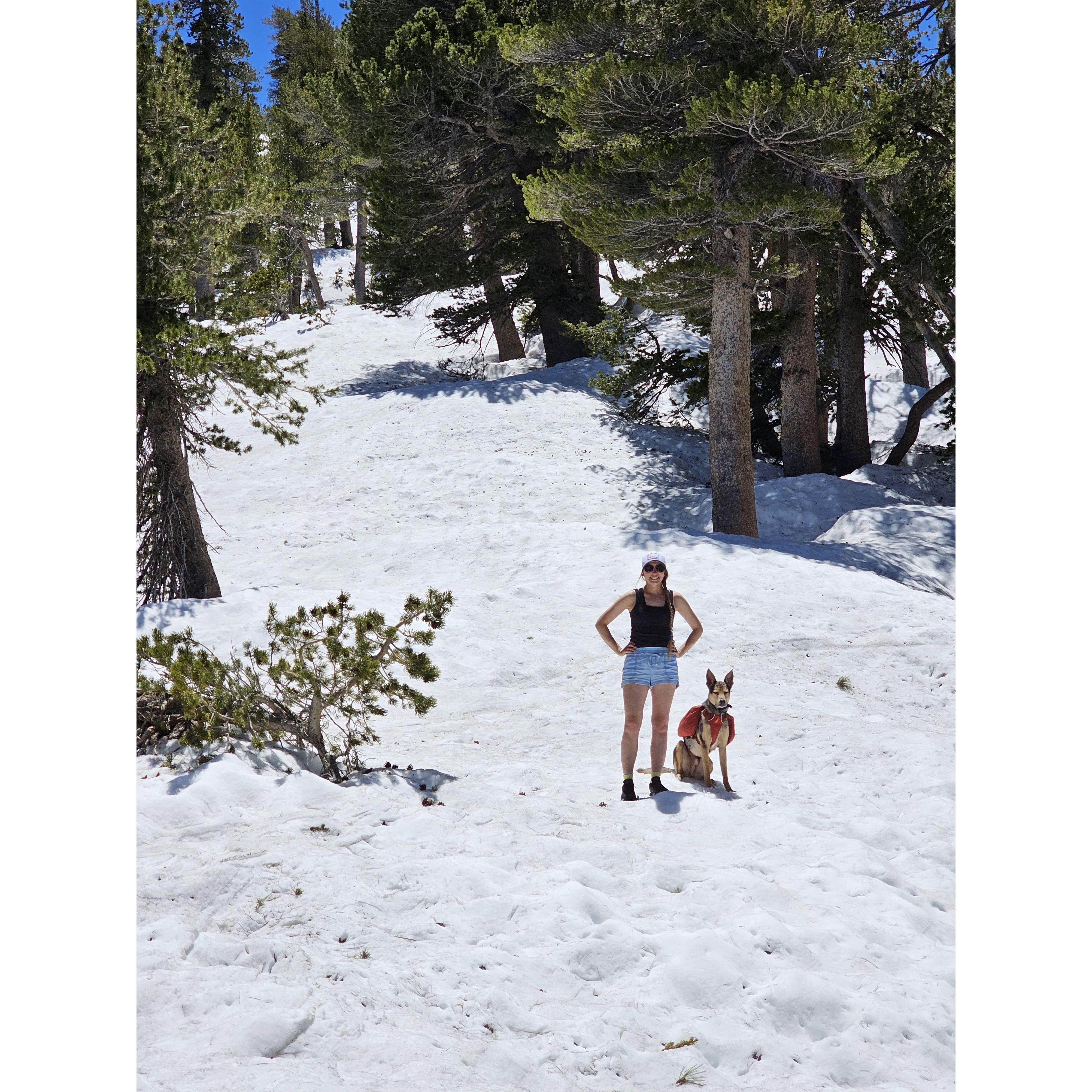 #LosAngelesMountainsMay2023