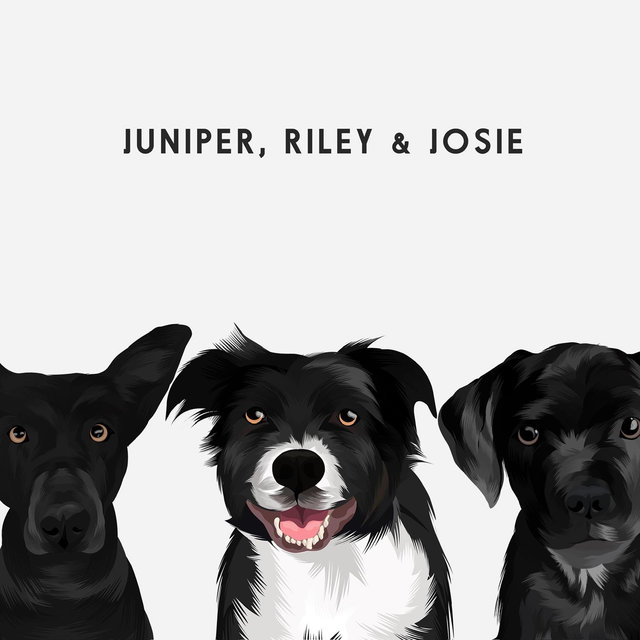 Buy our three dogs a backyard
