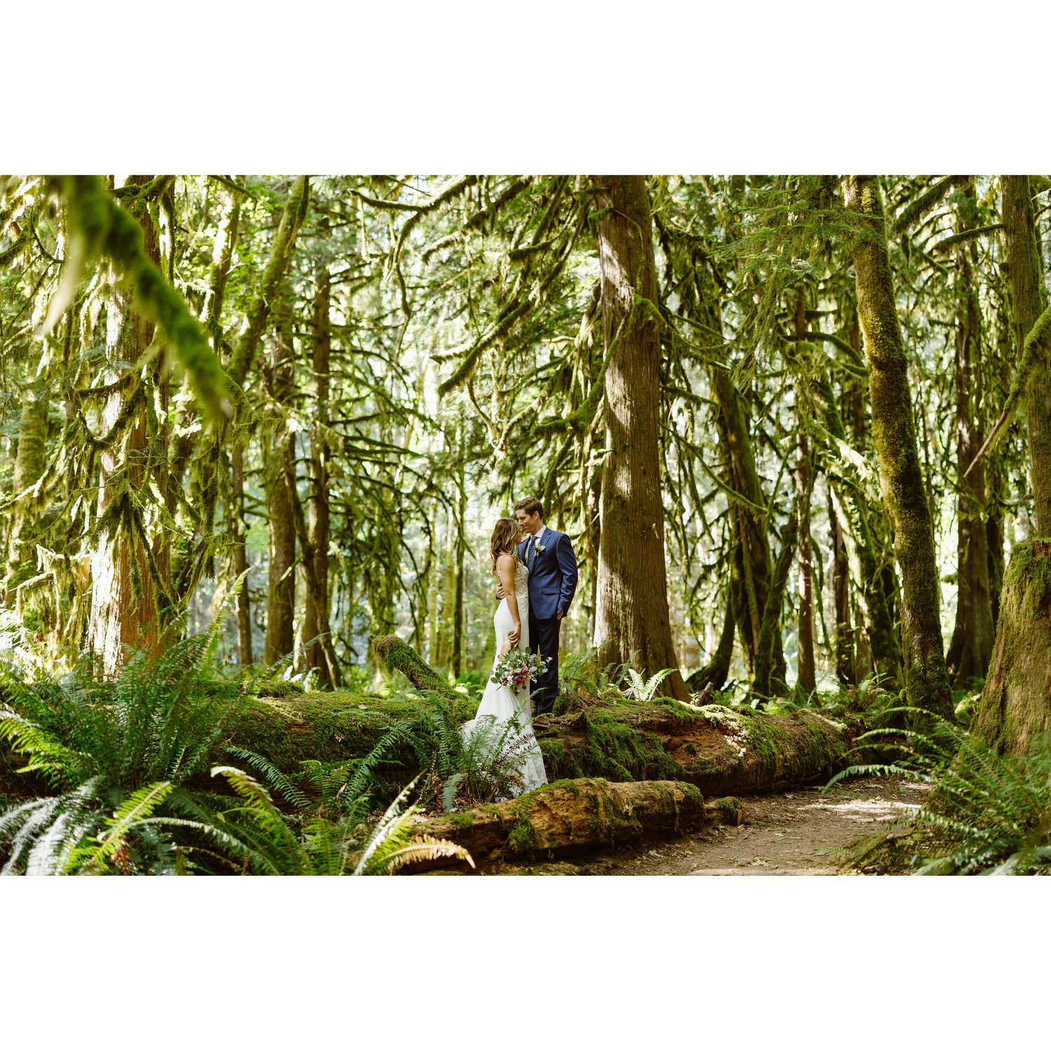 Stopped by this dreamy forest on the way to the ceremony.