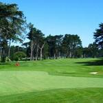 Golfing at TPC Harding Park