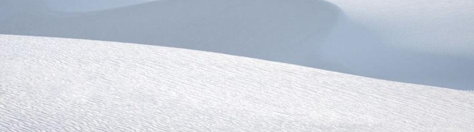 The Wedding Website of Thurayyaaa Muhammad and Johnny Martin Jr.