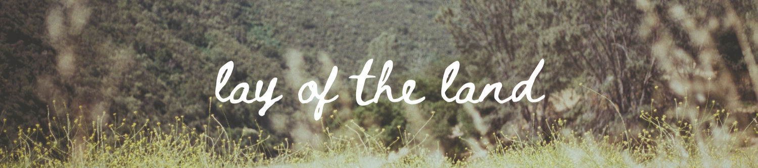The Wedding Website of Michelle Yang and Bryan Louie