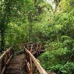 Mombacho Volcano Nature Reserve