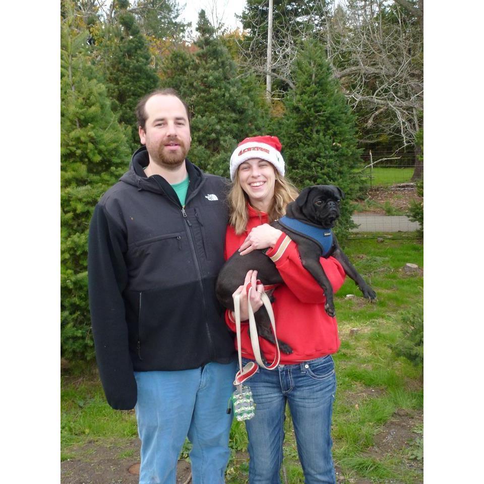 Christmas tree farm, 2016