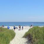 The Beaches