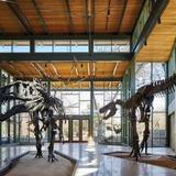 Witte Museum