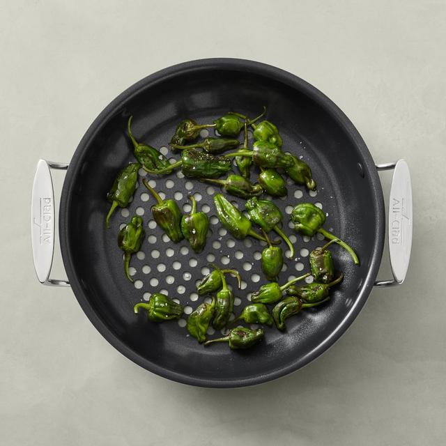 All-Clad Outdoor Nonstick Fry Pan