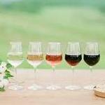 Wineries & Breweries