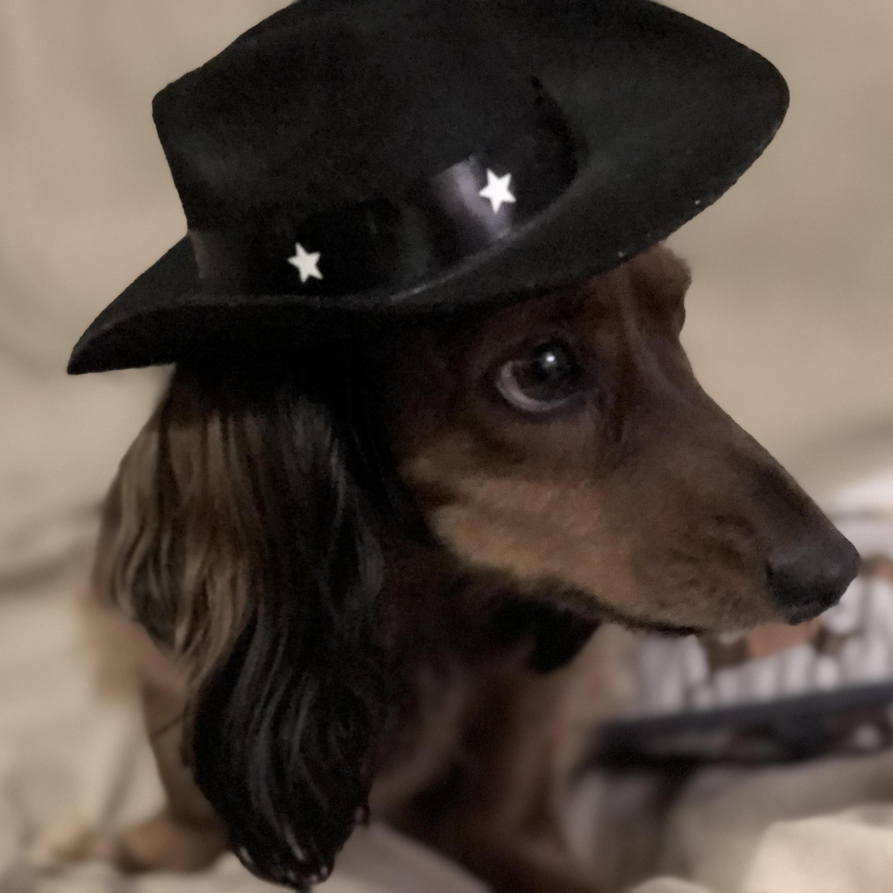 Sheriff Oscar