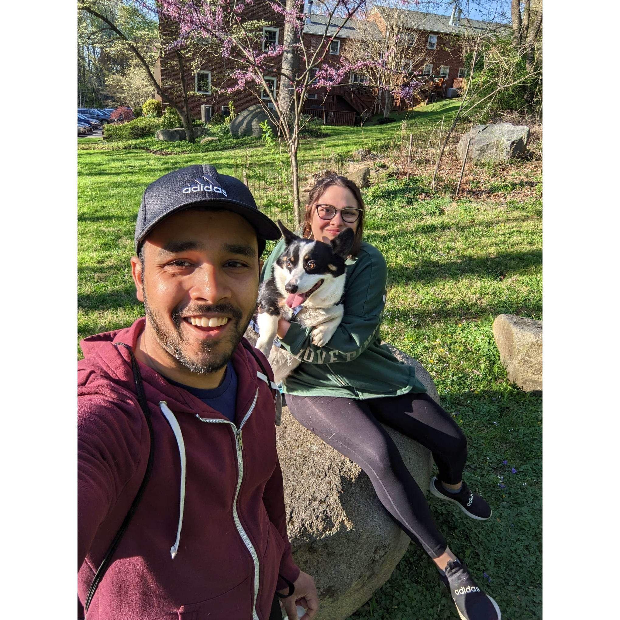 Family Walks