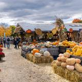 Country Dreams Farm