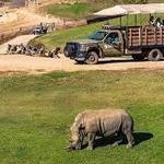 San Diego Zoo Safari Park